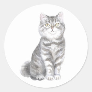 Adesivo Gatinho Cinza Prateado Fofo Amante de Gatos Mãe
