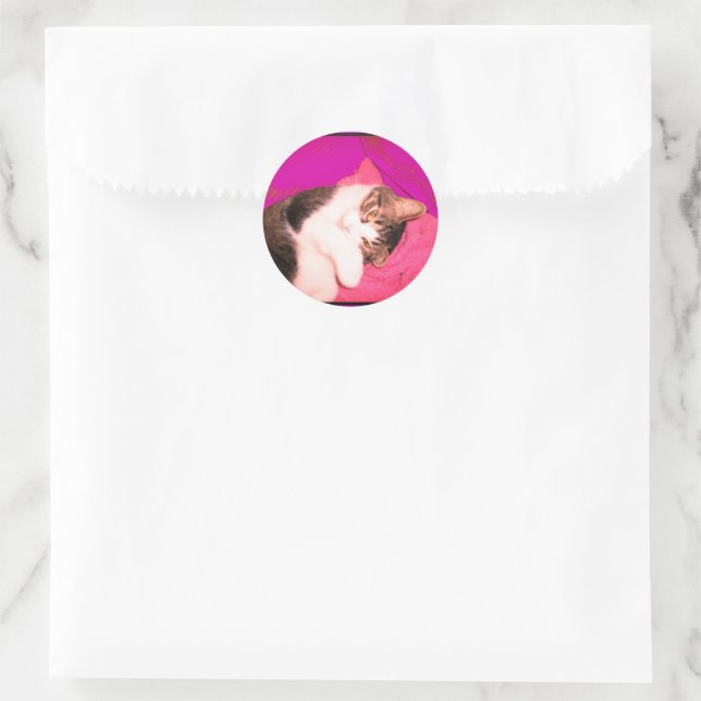 Adesivo Gatinho de Lucy Stickers (Bolsa)