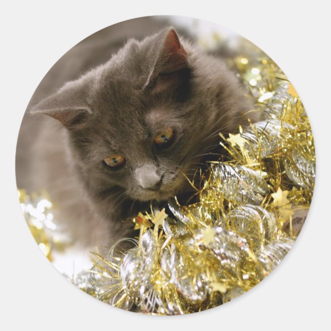 Adesivo Gatinho de Natal (Frente)