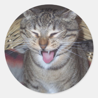 Adesivo Gatinho Diablo