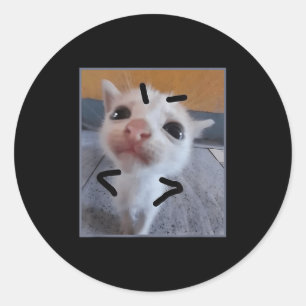 Adesivo Gatinho Engraçado Gato Furioso Fresco Gatinho Fres