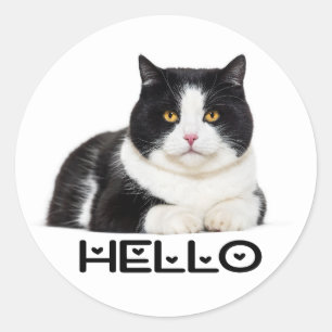 Adesivo Gatinho Fofinho Olá Gato Preto Branco
