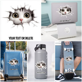 Adesivo Gatinho Gato Gato Gato Gatinho De Burro Indígena