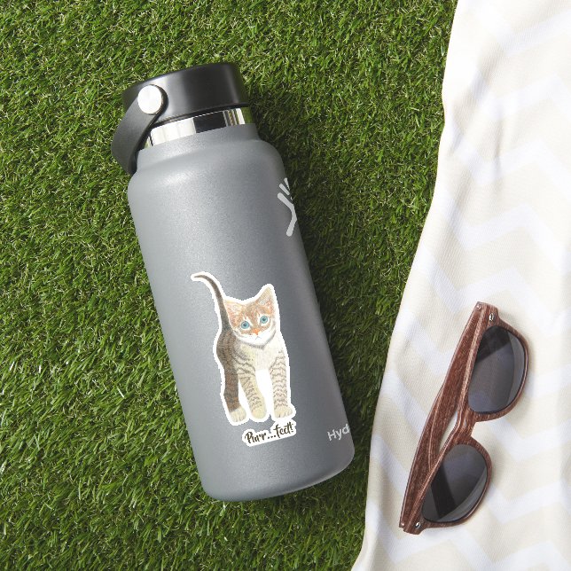 Adesivo Gatinho Listrado  (HydroFlask Insitu)