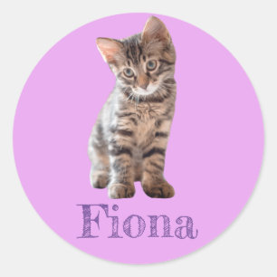 Adesivo Gatinho Malhado Personalizado Lavanda