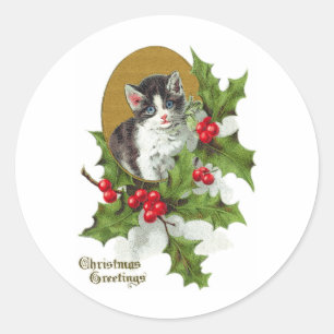 Adesivo Gatinho no natal vintage do azevinho