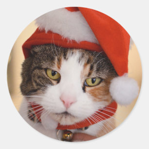 Adesivo Gatinho papais noeis   O gato de Natal
