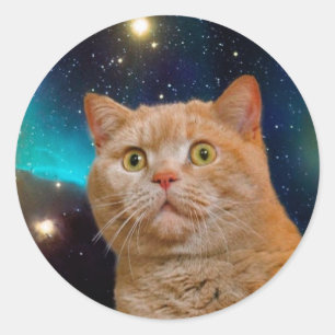 Adesivo Gato a ver o espaço