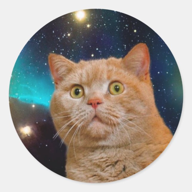 Adesivo Gato a ver o espaço (Frente)