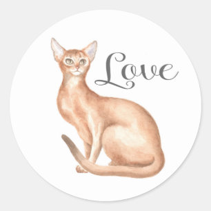 Adesivo Gato Abissínio Fofo Mamãe Gatinho Kitty Amor Olá