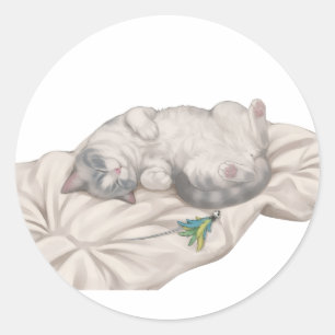 Adesivo Gato Adorável Dormindo BB Descansando no Travessei