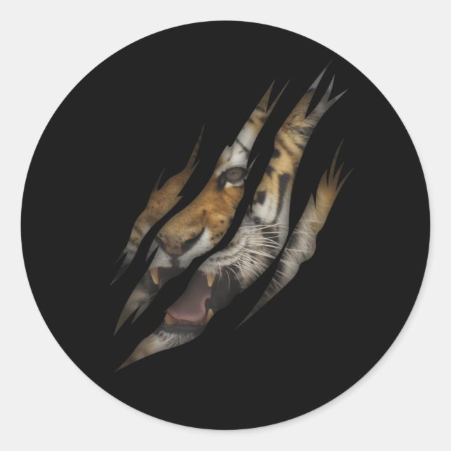 Adesivo Gato Animal Safari Selvagem, Gato de Tigre Irritad (Frente)