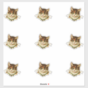 Adesivo Gato Antigo