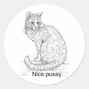 ADESIVO GATO BONITO