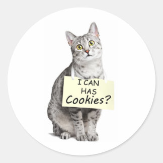 Adesivo Gato Bonito pergunta que posso ter biscoitos?
