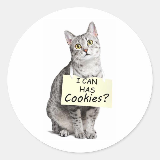 Adesivo Gato Bonito pergunta que posso ter biscoitos? (Frente)