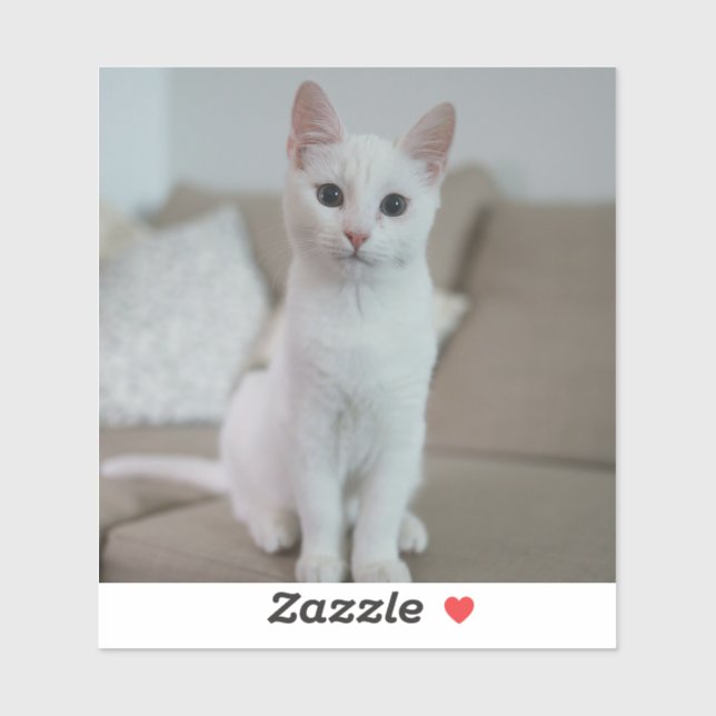 Adesivo Gato branco | Zazzle_Growth. (Folha)