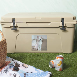 Adesivo Gato branco | Zazzle_Growth.