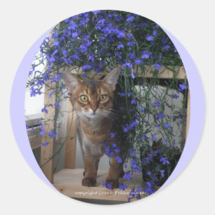Adesivo Gato da flor (oval)