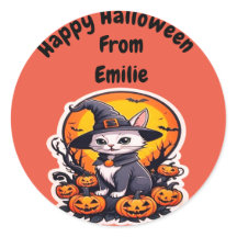 Gato de bruxa bonito com abóbora