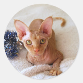 Adesivo Gato De Esfinge Com Tinsel Sticker