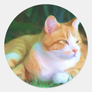 Adesivo Gato de gato malhado alaranjado