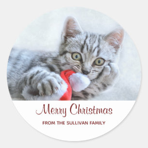 Adesivo Gato de gato malhado cinzento bonito com Xmas do