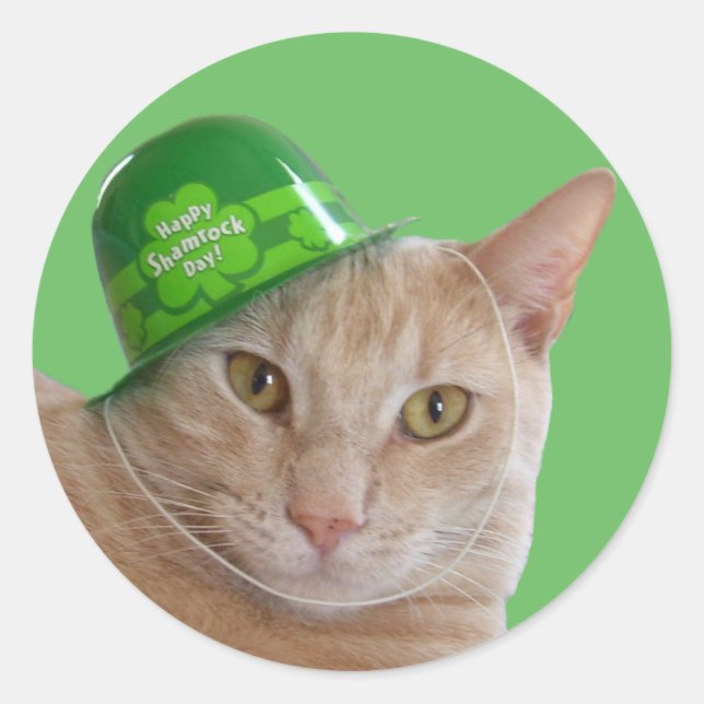 Adesivo Gato de Laranja Cinto Vestindo Chapéu Verde Irland (Frente)
