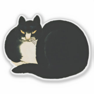 Adesivo Gato de Manchu Negro Dinastia Qing Chinês