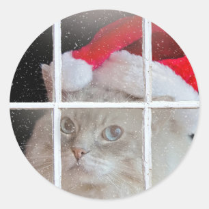 Adesivo Gato de Ragdoll do Natal na janela