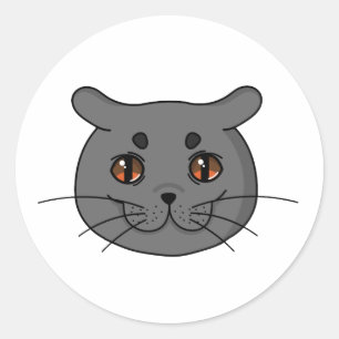 Adesivo Gato de Shorthair Britânico