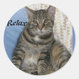 Adesivo Gato de Tabby