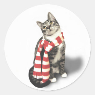 Adesivo Gato de Tabby Castanho num lenço Vermelho e Branco