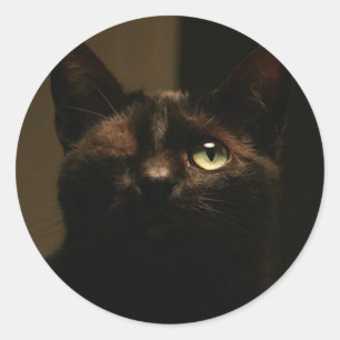 Adesivo Gato de um olho - Tom Sawyer