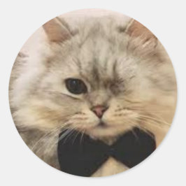 Adesivo Gato de um só olho