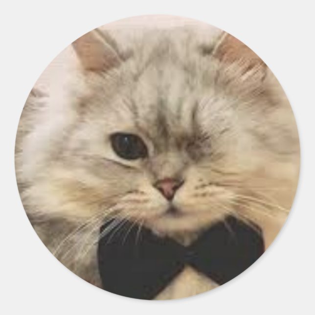 Adesivo Gato de um só olho (Frente)