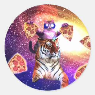 Adesivo Gato Do Espaço No Tigre Unicorn