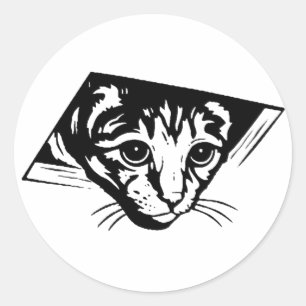 Adesivo Gato do teto