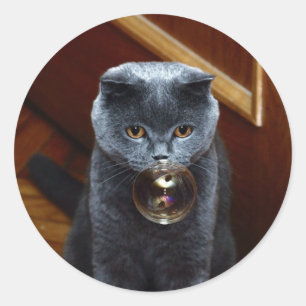 Adesivo Gato e bolha de sabão