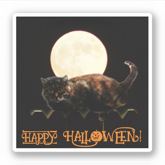 Adesivo Gato e Lua Cheia (Frente)