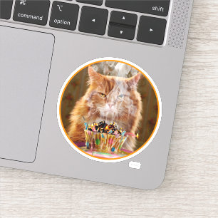 Adesivo Gato Engraçado Com Cupcake De Aniversário Derret