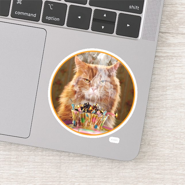 Adesivo Gato Engraçado Com Cupcake De Aniversário Derretid (Detalhe)