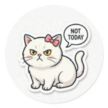 Gato Estético de Humor Divertido