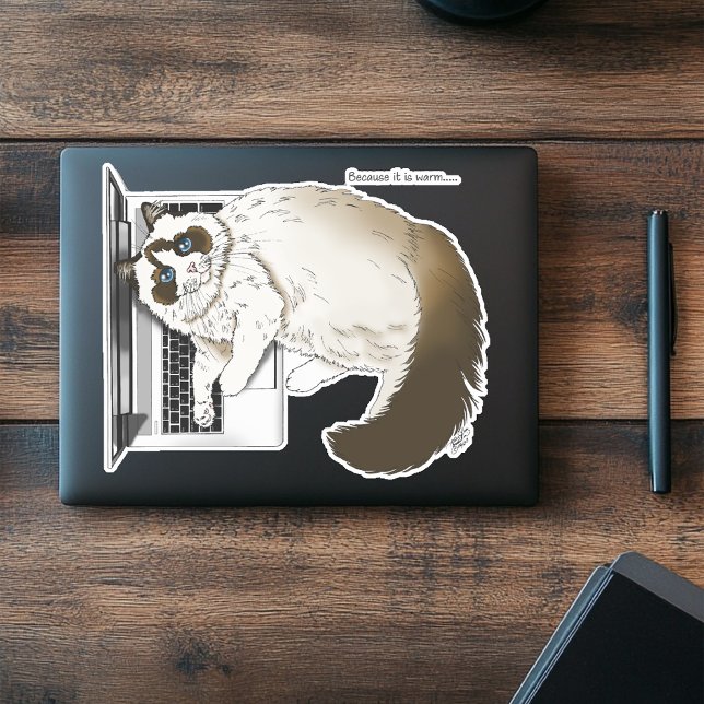Adesivo Gato Fofinho Ragdoll Laptop Lavanda Engraçado (Criador carregado)