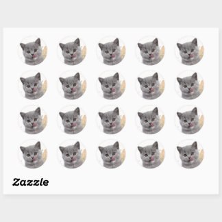Adesivo Gato fofo