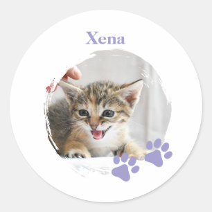 Adesivo Gato Fofo animal de estimação com nome personaliza