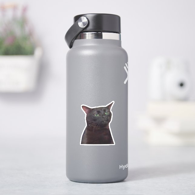 Adesivo Gato Fora Zonado, Gato Negro Fechado Memória (HidroFlask)