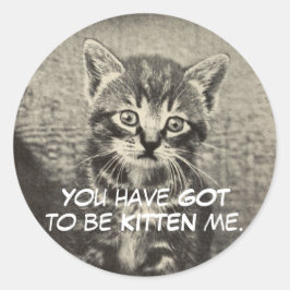 Adesivo Gato/Gatinho "Você tem que ser me amassado."