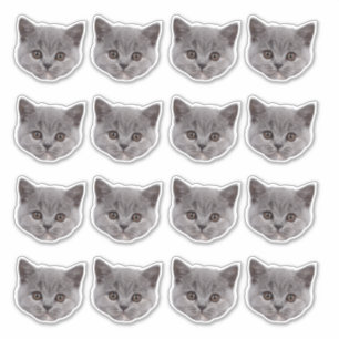 Adesivo Gato Gato Personalizado Com 16 Fotos Vinil