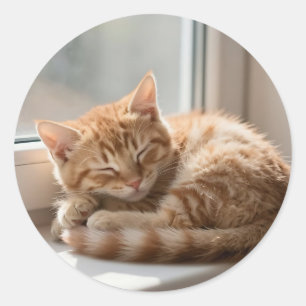 Adesivo Gato Gengibre Aconchegante Dormindo ao Sol